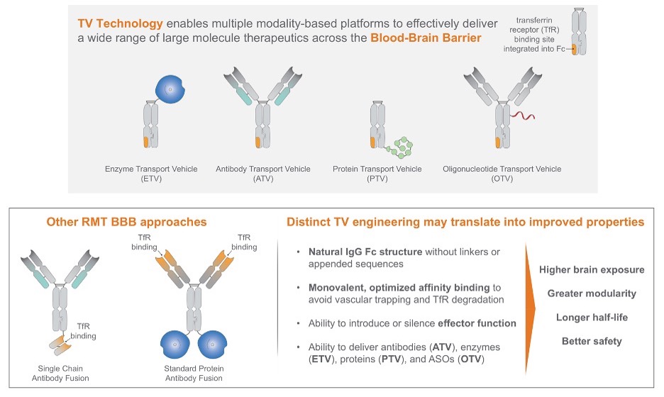 Figure 2 - 10K.jpg