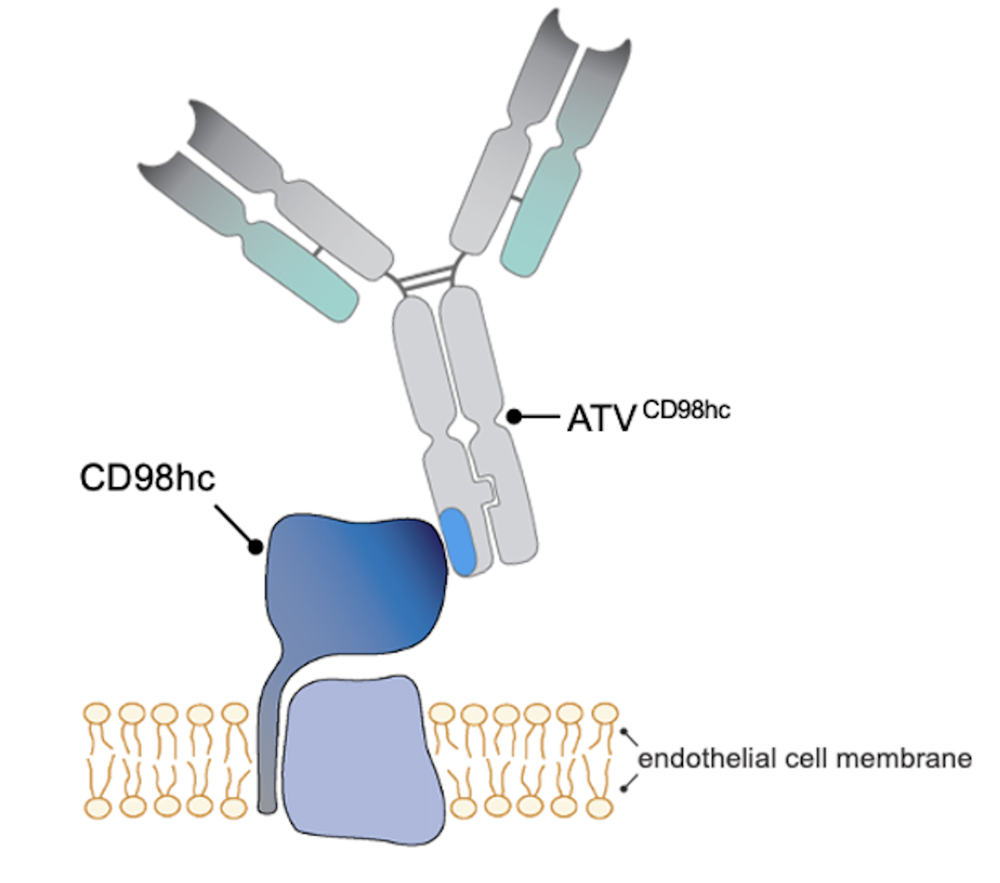 Figure 4.jpg