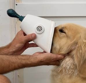 A person holding a cup with a dog's head

Description automatically generated