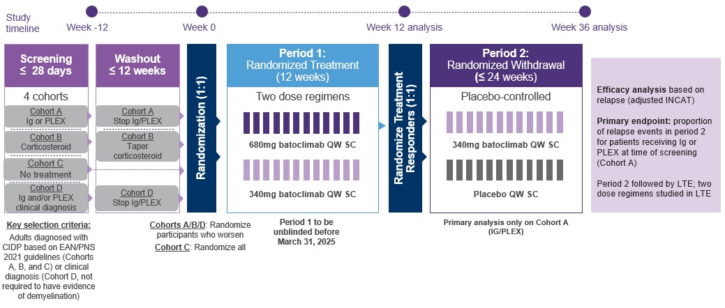 cidp phase 2b trial design.jpg