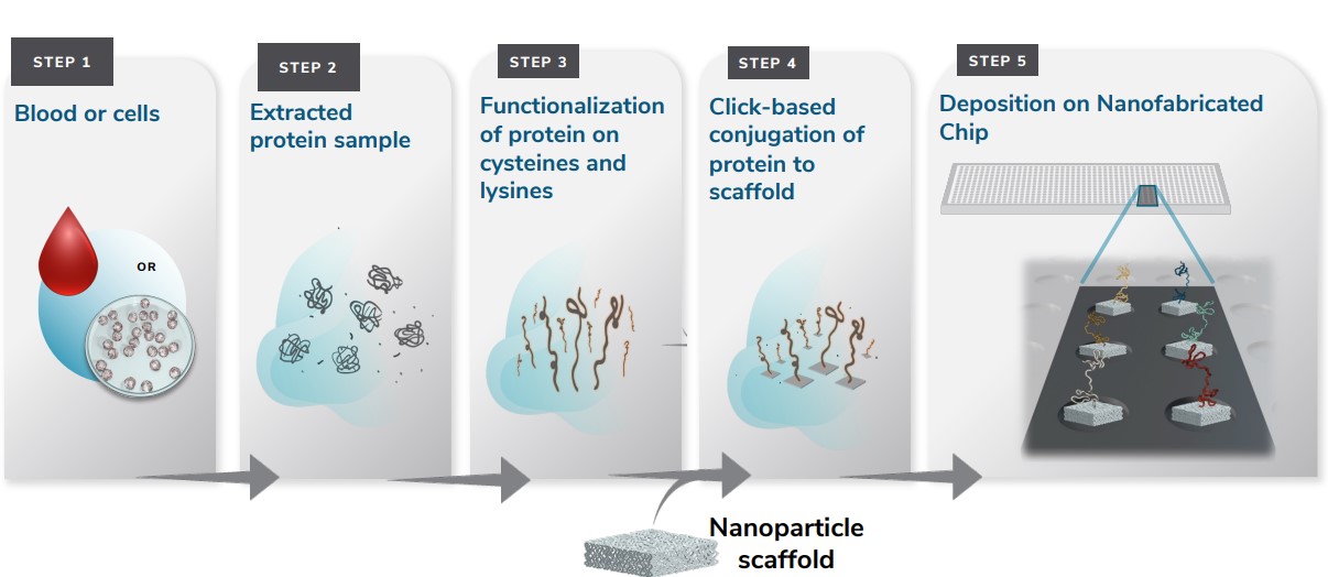 Single Protein Molecule Flow Cell 1.jpg