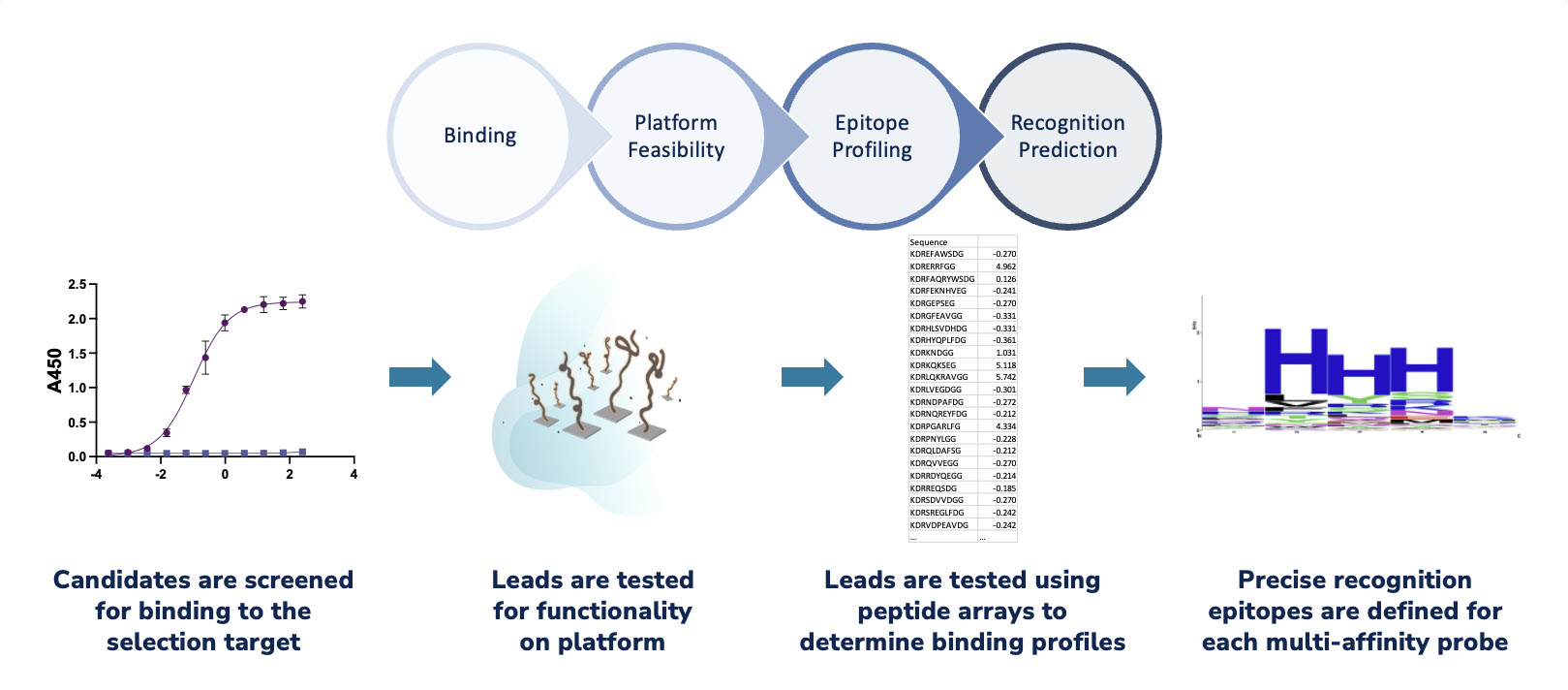 Candidates are screened for binding to the selection target.jpg