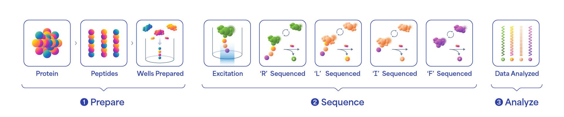 sequencing_workflow.jpg