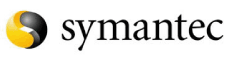 (SYMANTEC LOGO)