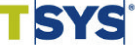 (T SYS LOGO)