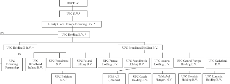 (STRUCTURE OF BORROWER GROUP)