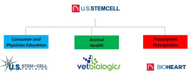 usstem_chart1.jpg