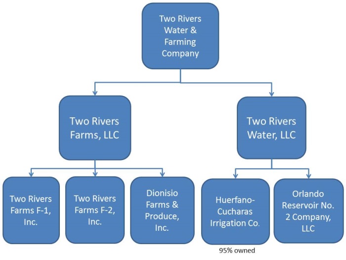 turv org chart