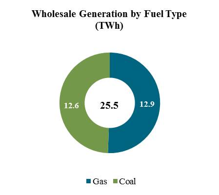 generationbyfueltype.jpg