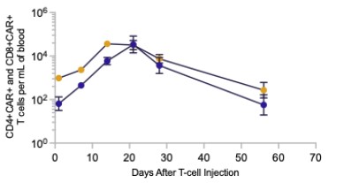 Figure5.jpg