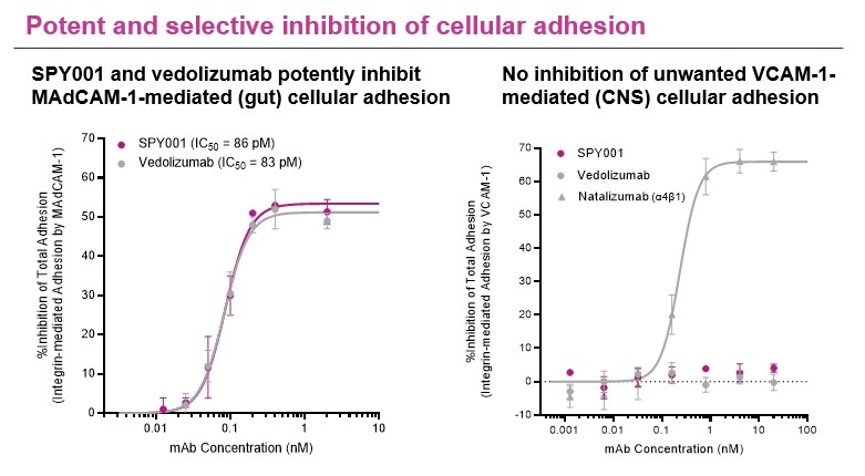 Figure1.jpg