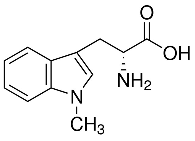 rta01.jpg