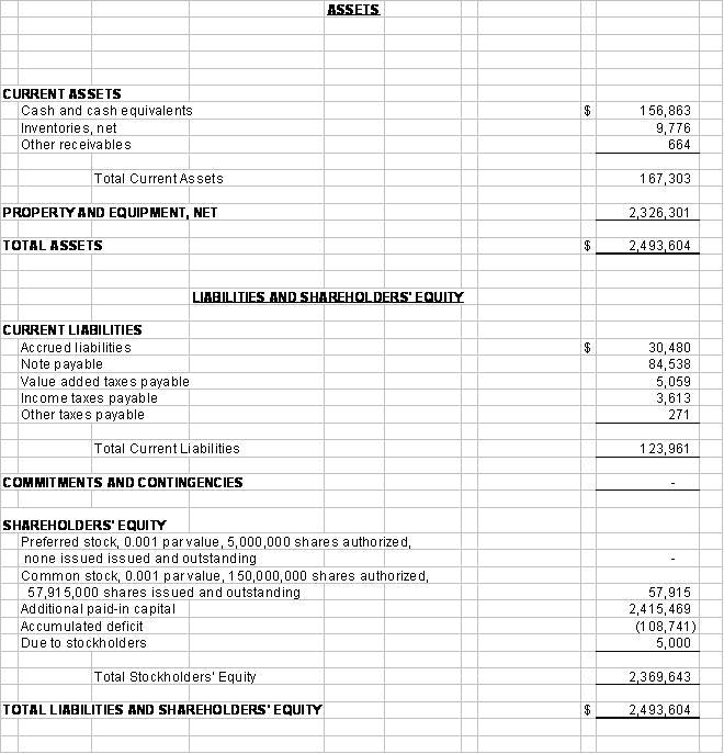 Balance Sheet