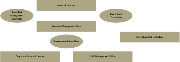 (RISK GOVERNANCE CHART)