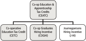 (FLOW CHART)