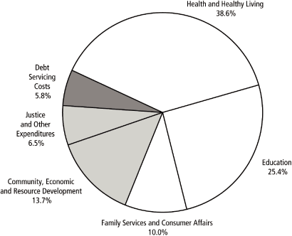 (PIE CHART)