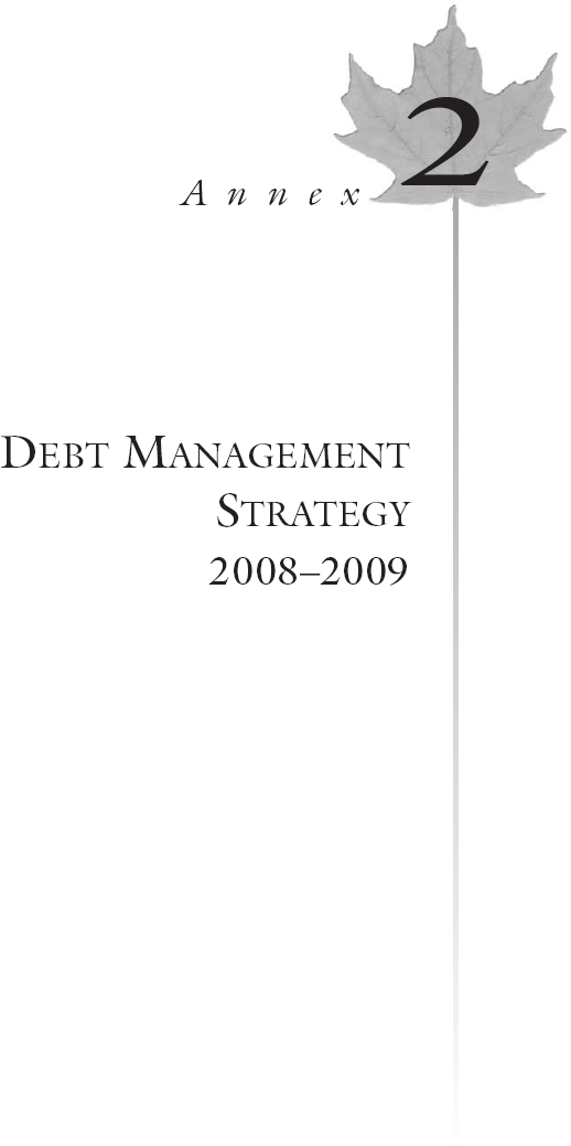 (DEBT MANAGEMENT STRATEGY 2008-2009 LOGO)