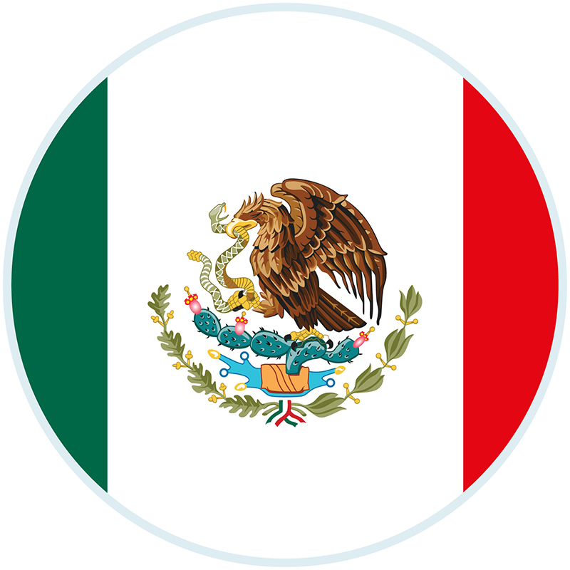 bandera_mexicoa05.jpg