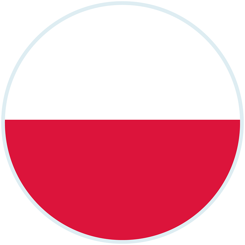 bandera_poloniaa30.jpg