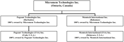 (ORGANIZATIONAL CHART)