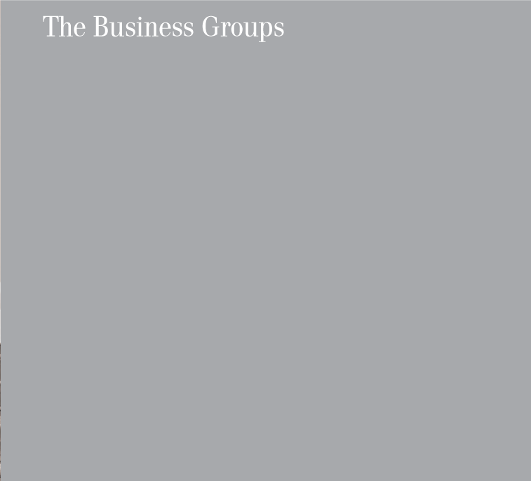 The Business Groups