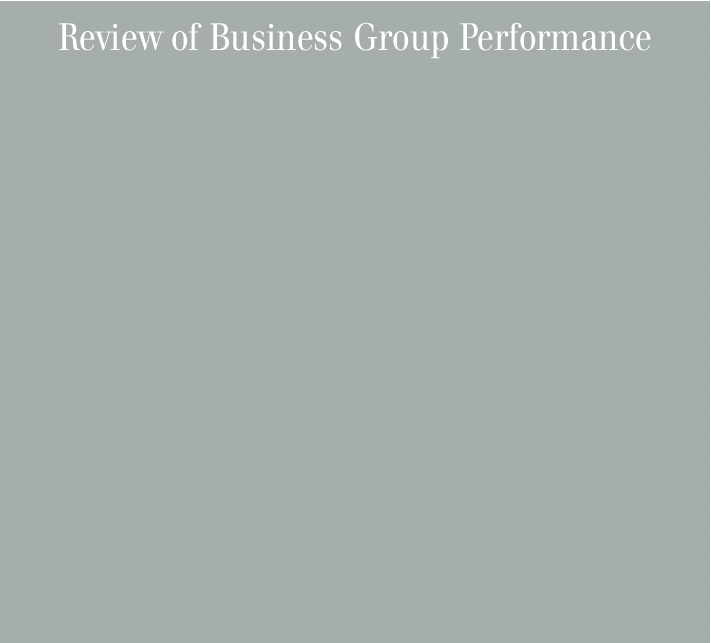 (Review of Business Group Performance)