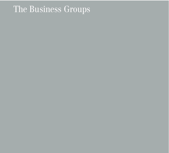 (gray background The Business Groups)