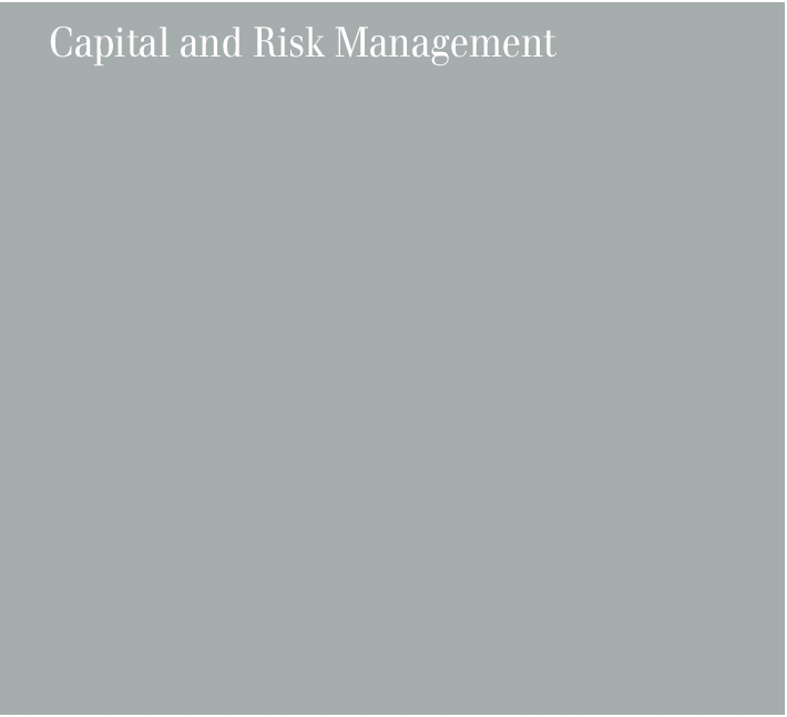 (CAPITAL AND RISK MANAGEMENT)