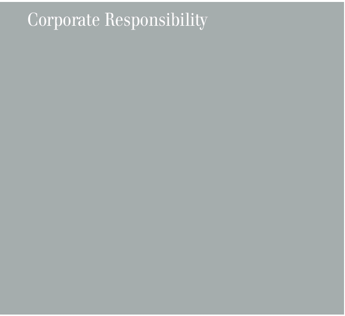 (CORPORATE RESPONSIBILITY IN GRAY BACKGROUND)