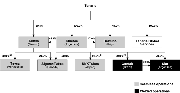 (CORPORATE STRUCTURE CHART)