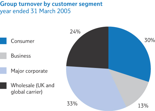 Group turnover by customer segment