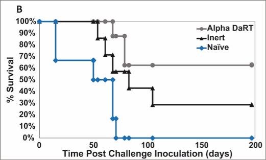 Diagram

Description automatically generated