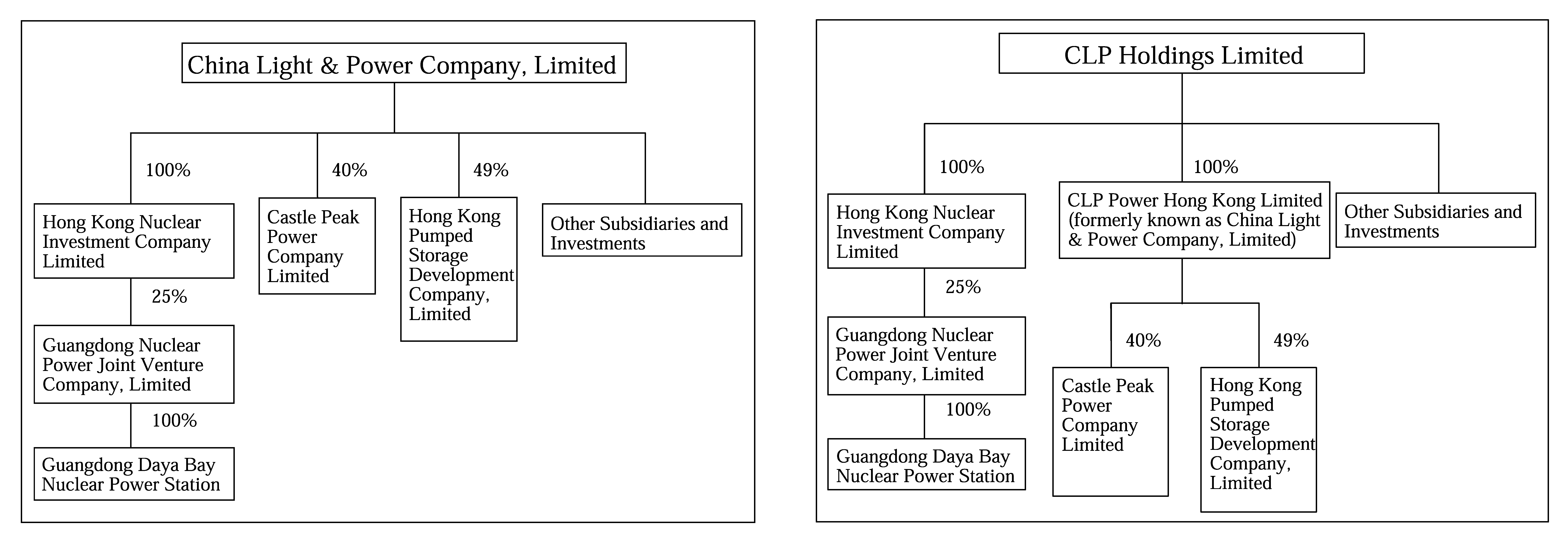 (REORGANIZATION FLOWCHART)