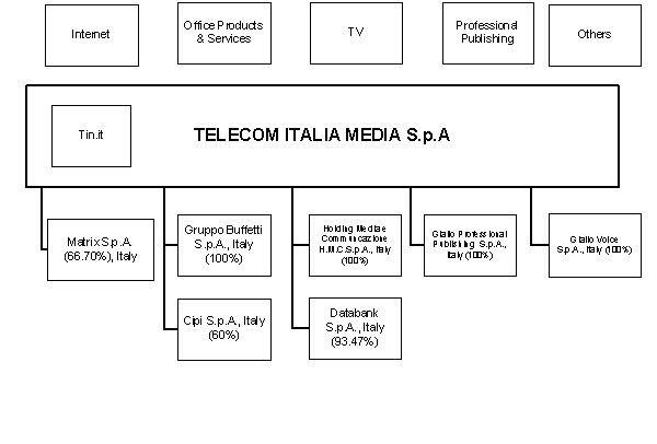 (ORGANIZATIONAL STRUCTURE OF TELECOM ITALIA MEDIA CHART)