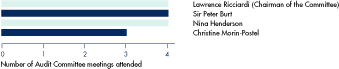 (AUDIT COMMITTEE BAR CHART)