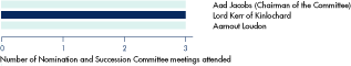 (NOMINATION AND SUCCESSION COMMITTEE BAR CHART)