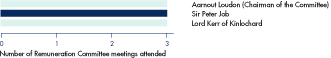 (REMUNERATION COMMITTEE BAR CHART)