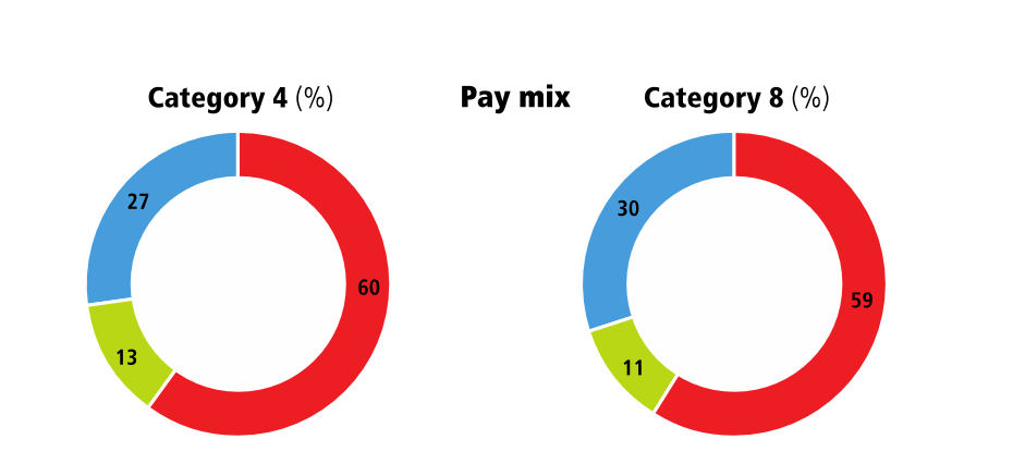 remunerationreportir2_image4.gif