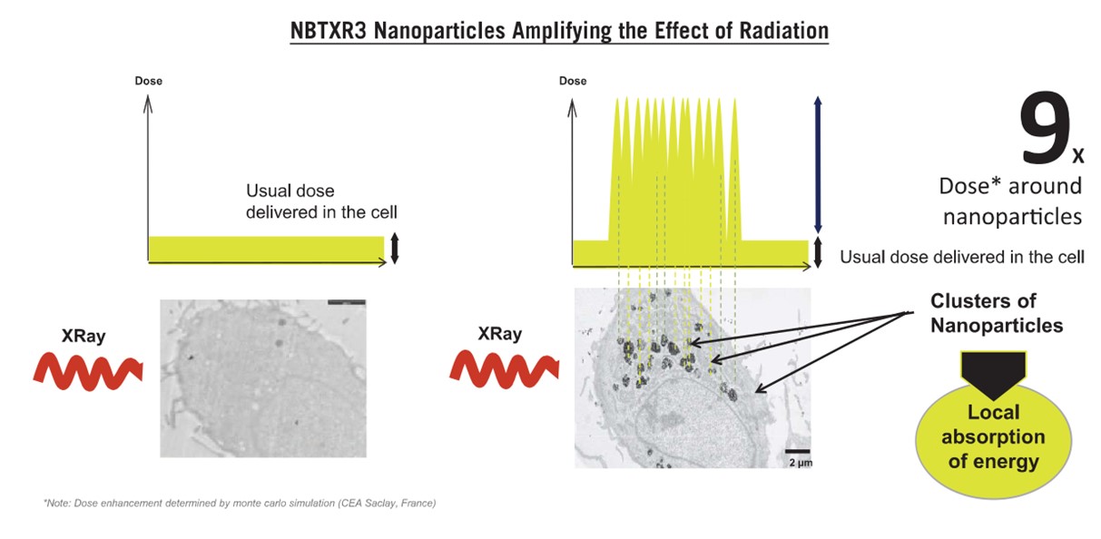 nbx-20201231_g3.jpg