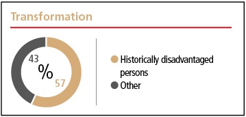 transformation_piex2022a.jpg