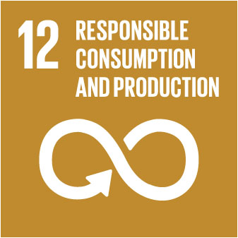 the-global-goals-grid-JPG-12.jpg