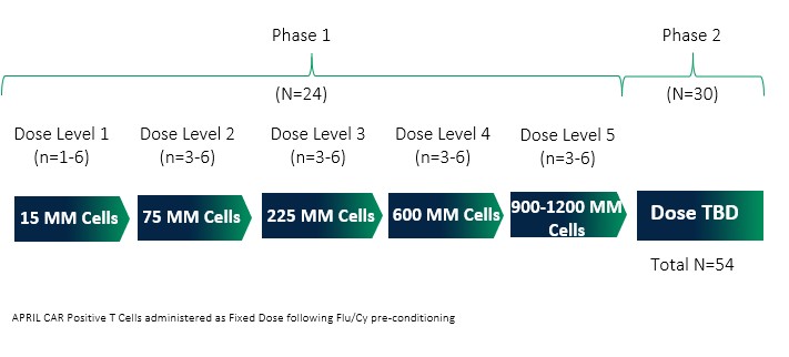 auto2phase1and2.jpg