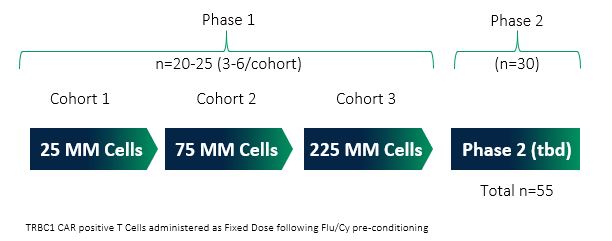 auto45phase12.jpg