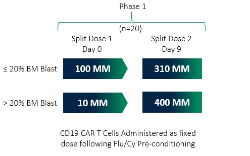 phase1cd20.jpg