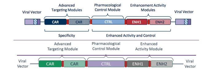 viralvector.jpg