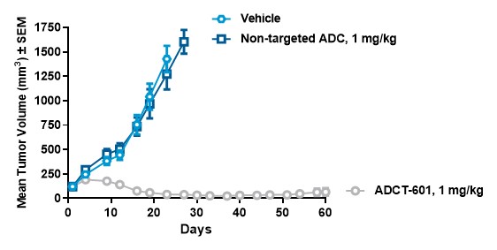 adc-20201231_g26.jpg