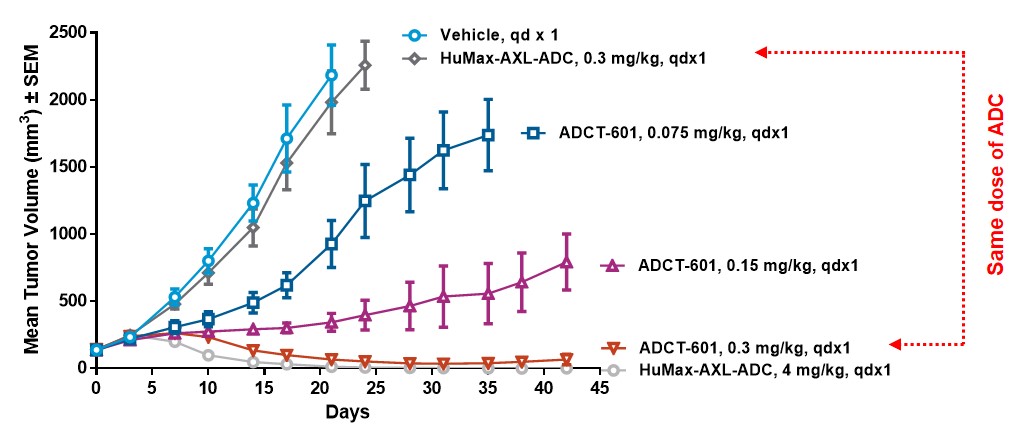 adc-20201231_g30.jpg