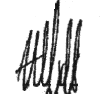 -s- SIGNATURE