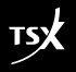 (TSX LOGO)