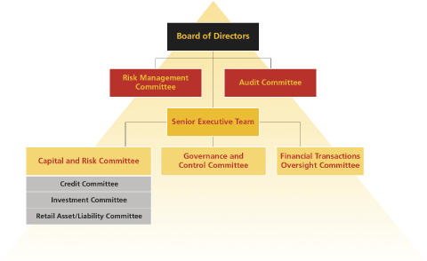 (RISK MANAGEMENT GOVERNANCE STRUCTURE FLOW CHART)